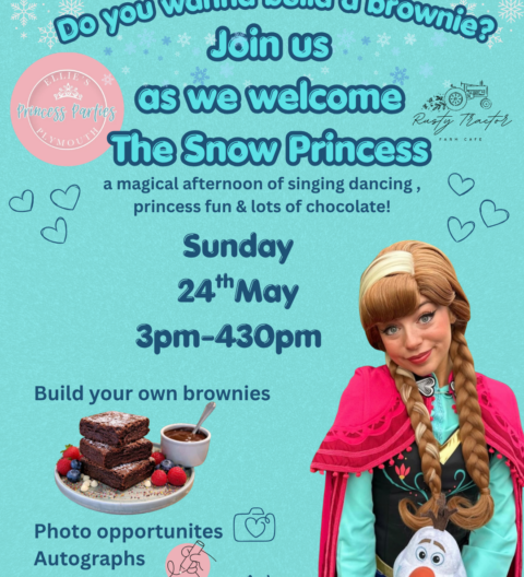 Do you wanna build a brownie? - Princess Event